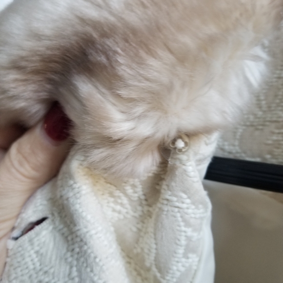 Xhilaration Cream Coat - Picture 7 of 7